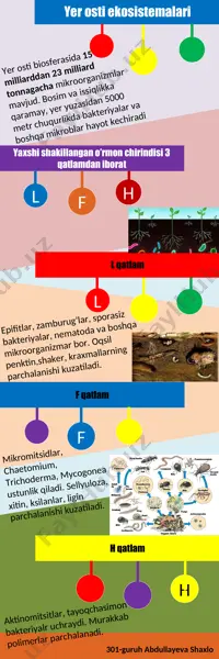 yer osti biosferasi mikrobiologiyasi — PPT