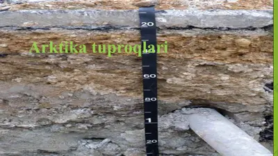 arktikatuproqlari — PPTX