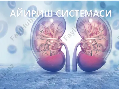 айириш системаси — PPT