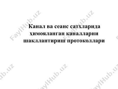 канал ва сеанс сатхларида ҳимояланган каналларни шакллантириш протоколлари — PPTX