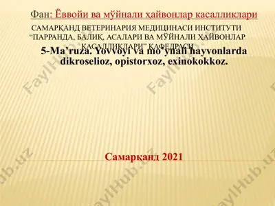 "yovvoyi va mo’ynali hayvonlarda dikroselioz, opistorxoz, exinokokkoz" — PPTX