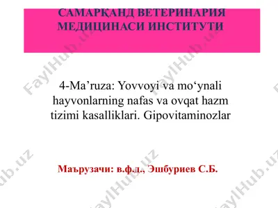 4-ma’ruza: yovvoyi va mo‘ynali hayvonlarning nafas va ovqat hazm tizimi kasalliklari. gipovitaminozlar — PPTX