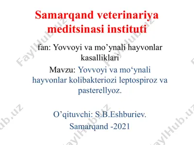 samarqand veterinariya meditsinasi instituti fan: yovvoyi va mo‘ynali hayvonlar kasalliklari — PPTX