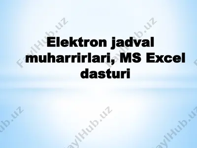 elektron jadval muharrirlari, ms excel dasturi — PPTX