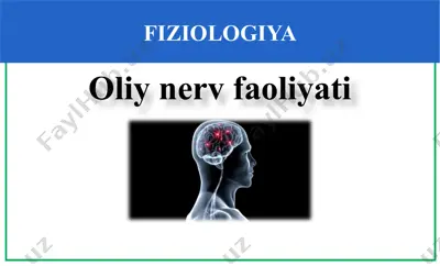 fiziologiya oliynervfaoliyati — PPTX