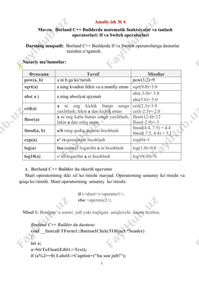 borland c++ builderda matematik funktsiyalar va tanlash operatorlari: if va switch operatorlari — DOC