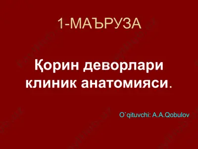 қорин деворлари клиник анатомияси — PPTX