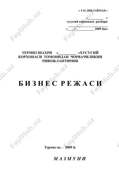 biznes rejasi (business plan) — DOC