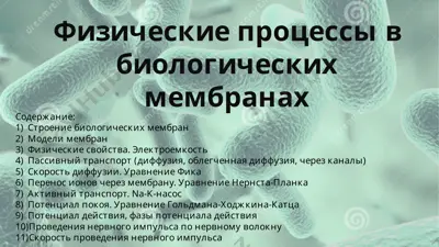 физические процессы в биологических
мембранах — PPTX