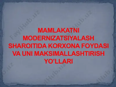 mamlakatni modernizatsiyalash sharoitida korxona foydasi va uni maksimallashtirish yo‘llari — PPTX