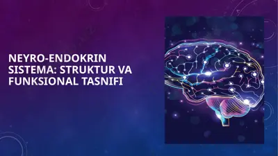 neyro-endokrin sistema struktur va funksional tasnifi — PPTX