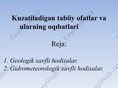 o'zbekiston respublikasining aholini va hududlarni tabiiy va texnogen xususiyatli favqulodda vaziyatlardan muhofaza qilish qonuni — PPTX