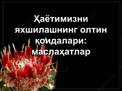 ҳаётимизни яхшилашнинг олтин қоидалари - маслаҳатлар — PPT