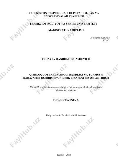 magistrlik dissertatsiyasi "qishloq joylarda aholi bandligi va turmush darajasini oshirishda kichik biznesni rivojlantirish" — DOC