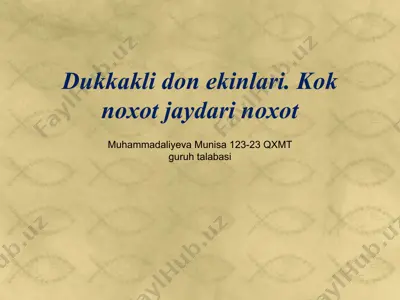 dukkakli ekinlar — PPTX