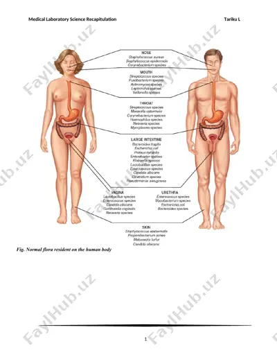 medical laboratory science recapitulation — DOC