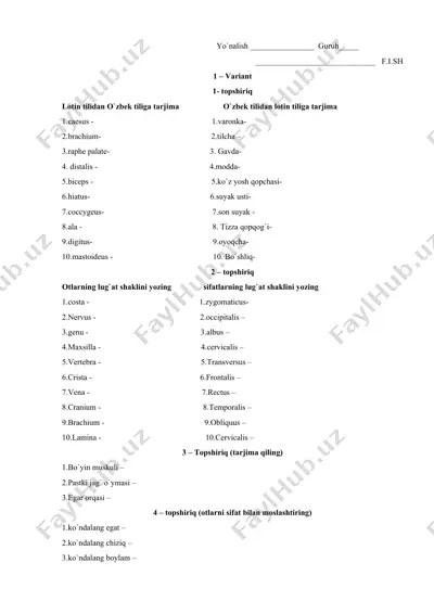lotin tilidan o`zbek tiliga tarjima va o`zbek tilidan lotin tiliga tarjima — DOC