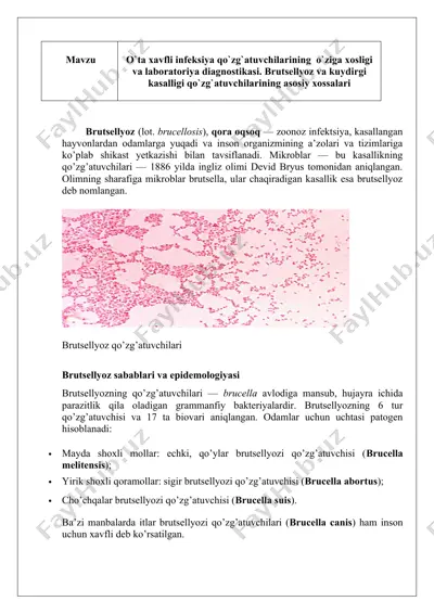 brutsellyoz va kuydirgi kasalligi haqida — DOC