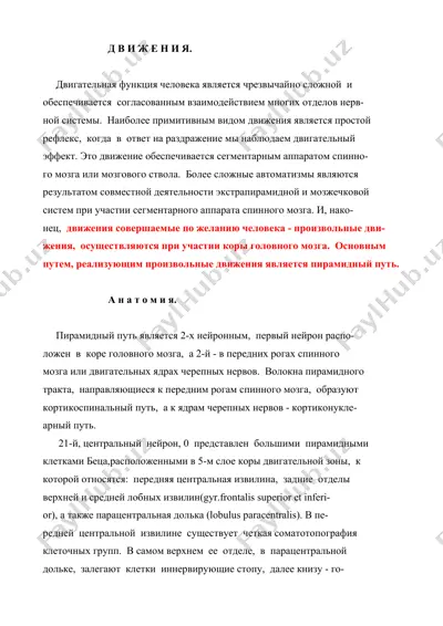 движения — DOC