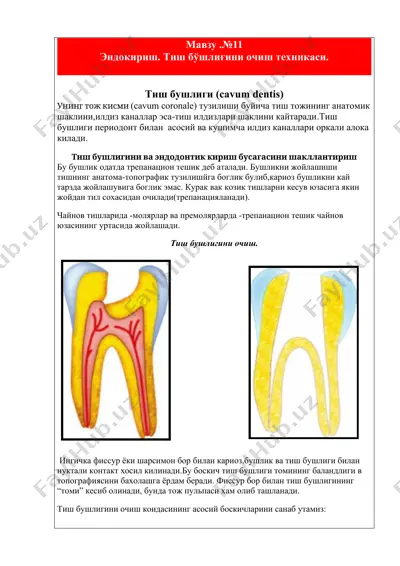 tiş bоhşligini òchish texnikasi — DOC
