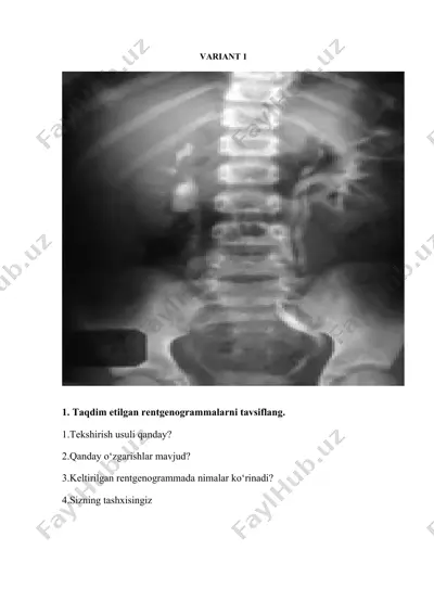 taqdim etilgan rentgenogrammalarni tavsiflang. — DOC