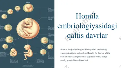 homila embriologiyasidagi qaltis davrlar — PPTX