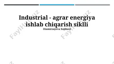 industrial - agrar energiya ishlab chiqarish siklli — PPTX