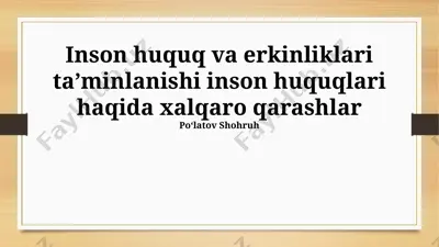 inson huquq va erkinliklari taʼminlanishi inson huquqlari haqida xalqaro qarashlar — PPTX