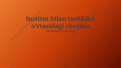 institut bilan tashkilot oʻrtasidagi chegara — PPTX