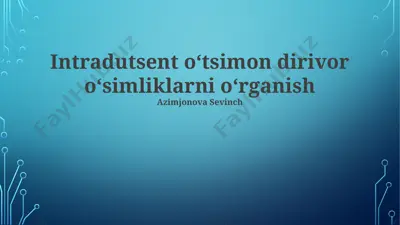 o'tsimon dikotli o'simliklarning anatomiyasi — PPTX