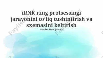 irnk ning protsessingi jarayonini tushuntirish — PPTX