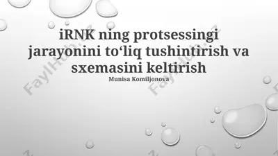 irnk ning protsessingi jarayonini to'liq tushintirish va sxemasi — PPTX