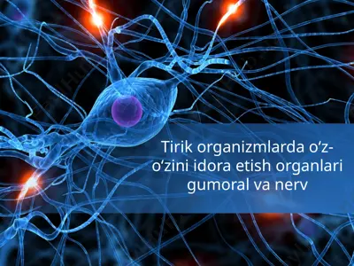 o'z-o'zini boshqarishning fiziologik va biologik asoslari — PPTX