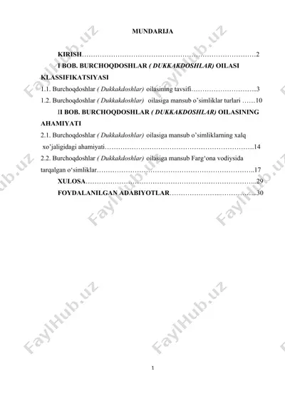 burchoqdoshlar (dukkakdoshlar) oilasi tavsifi — DOC