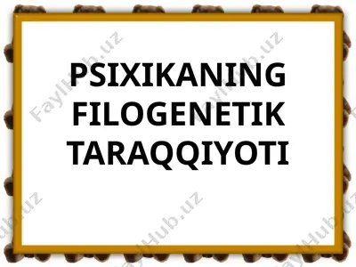 psixikaning filogenetik taraqqiyoti — PPTX