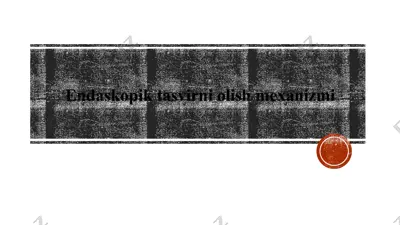 endaskopiktasvirniolishmexanizmi — PPTX