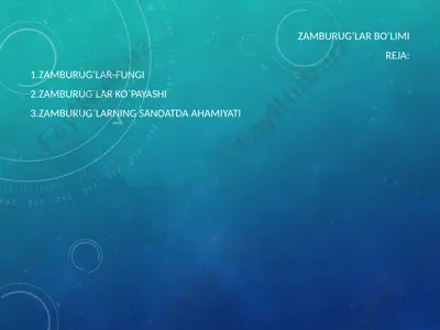 zamburug’lar — PPT