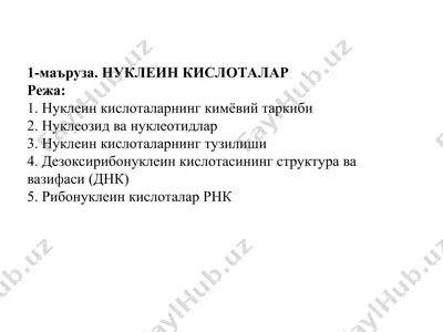 нуклеин кислоталар — PPT