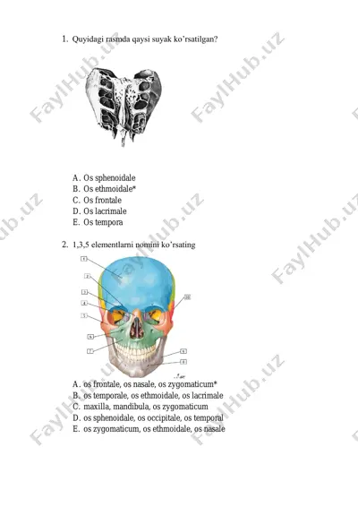 anatomiya test savollari — PDF