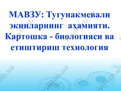 туганакмевали экинларнинг аҳамияти. картошка - биологияси ва етиштириш технология — PPT