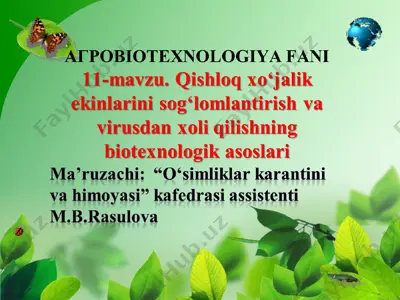qishloq xo‘jalik ekinlarini sog‘lomlantirish va virusdan xoli qilishning biotexnologik asoslari — PPT