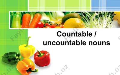 countable / uncountable nouns — PPT