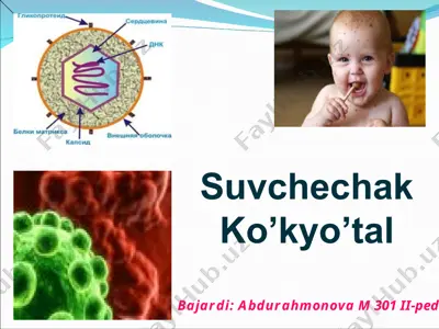 suvchechak — PPT