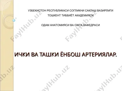 ички ва ташки ёнбош артериялар — PPT