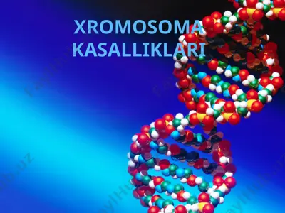 xromosoma kasalliklari — PPTX