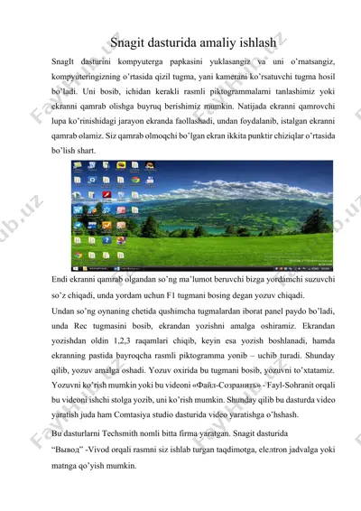 snagit dasturida amaliy ishlash — DOCX