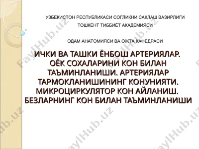 i̇çki va tashqi yonbosh arteriyalar. oyog' sohalari kon bilan ta'minlanishi — PPT