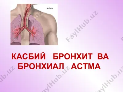 kasbiy bronxit va bronxial astma — PPT