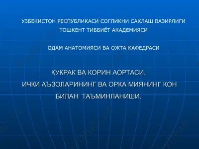 kukrak va korin aortasi. ichki a'zolaring va orqa miyaning kon bilan ta'minlanishi — PPT