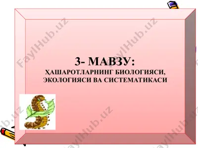 ҳашаротларнинг биологияси, экологияси ва систематикаси — PPT